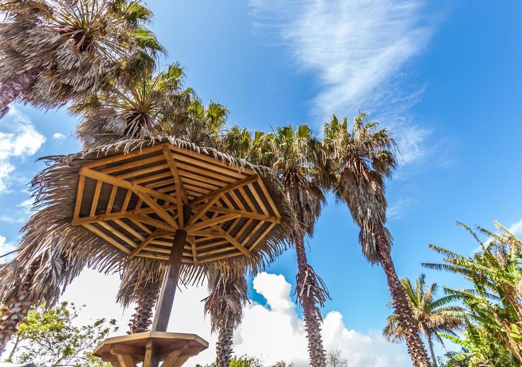 O'Tai Otel Hanga Roa Dış mekan fotoğraf